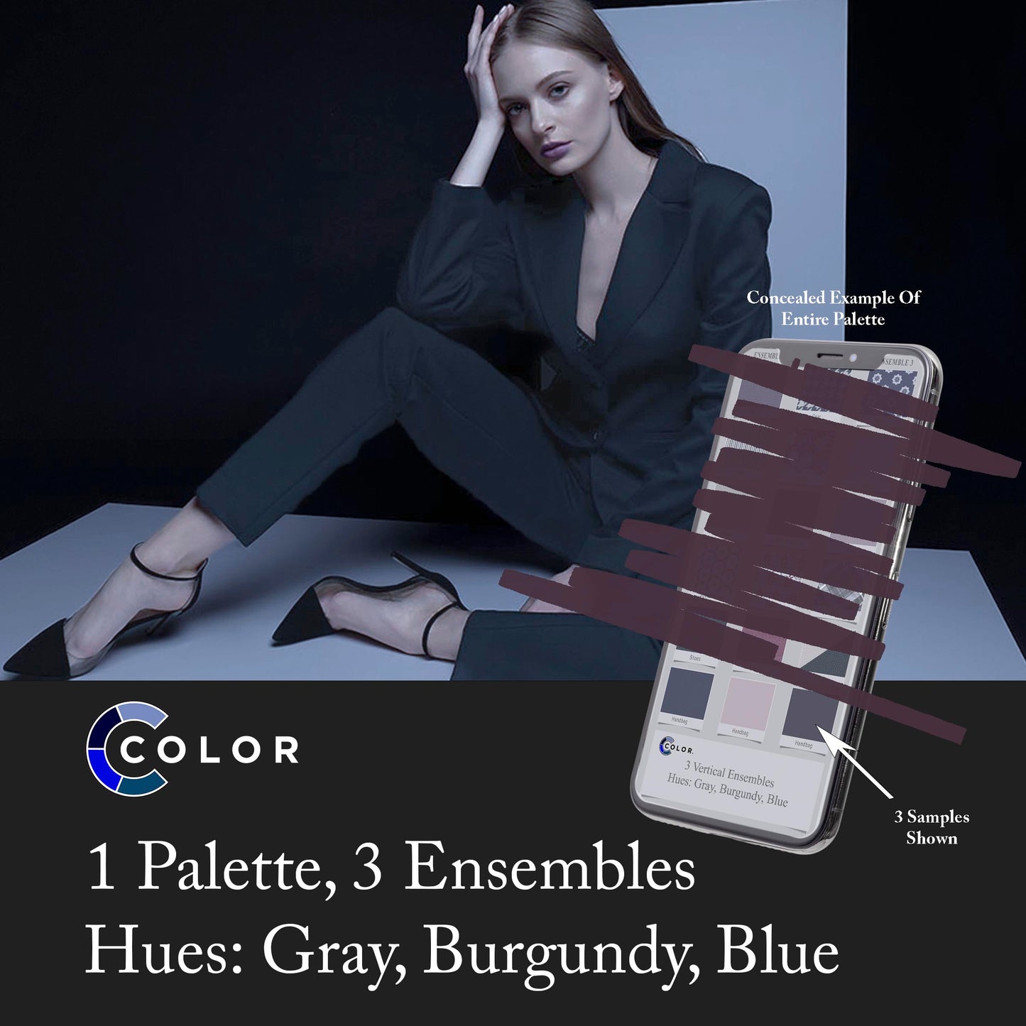Gray, Burgundy, Blue Palette