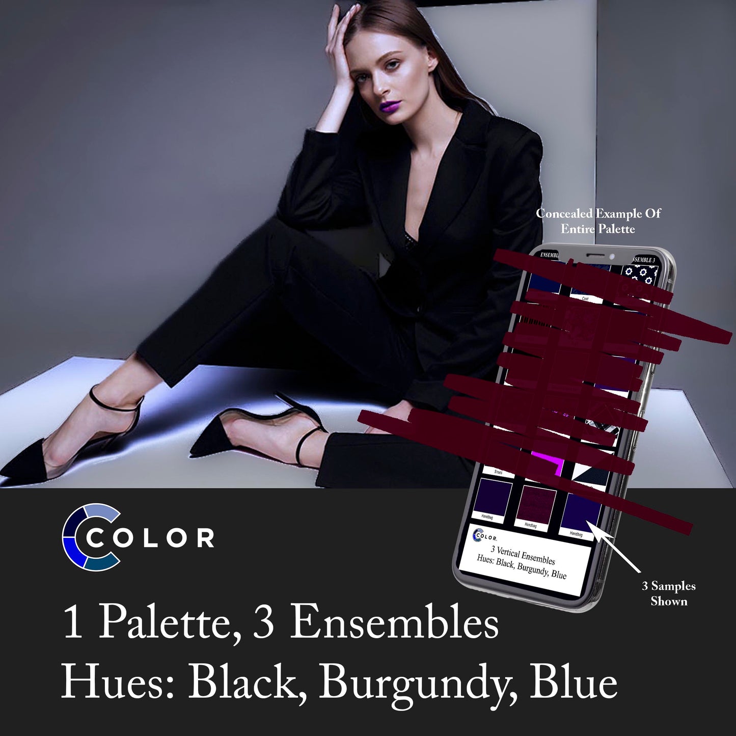 Black, Burgundy, Blue Palette