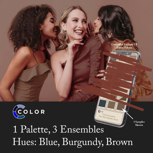 Blue, Burgundy, Brown Palette